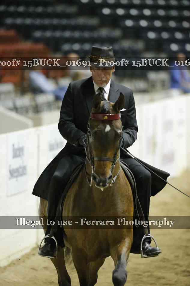 Proof 15BUCK_01691