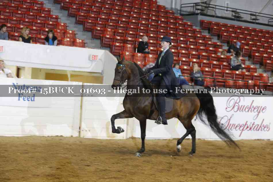 Proof 15BUCK_01693