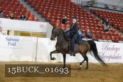 15BUCK_01693 proof