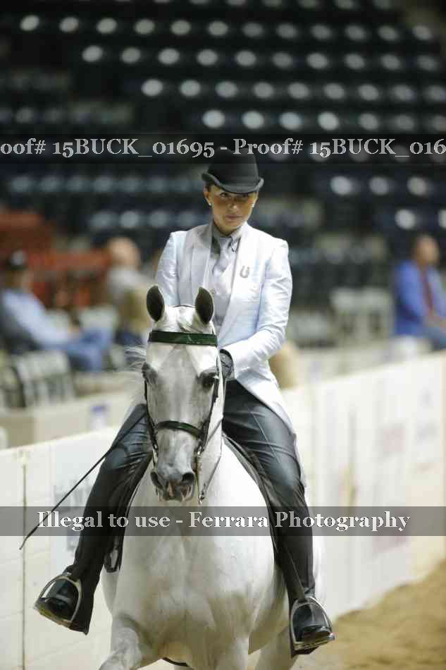 Proof 15BUCK_01695