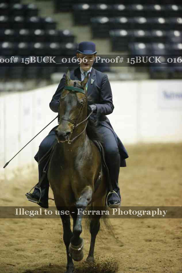 Proof 15BUCK_01696