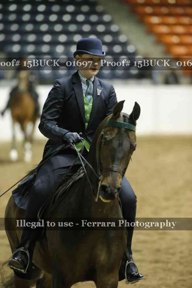 Proof 15BUCK_01697