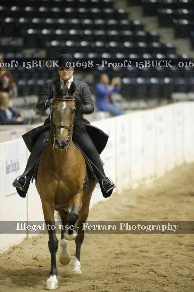 Proof 15BUCK_01698