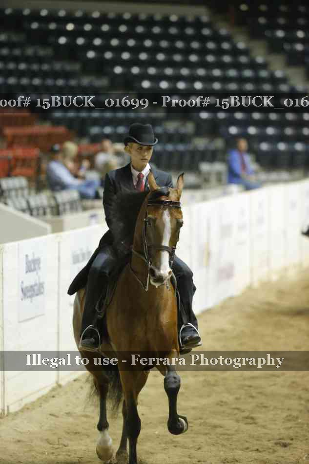 Proof 15BUCK_01699