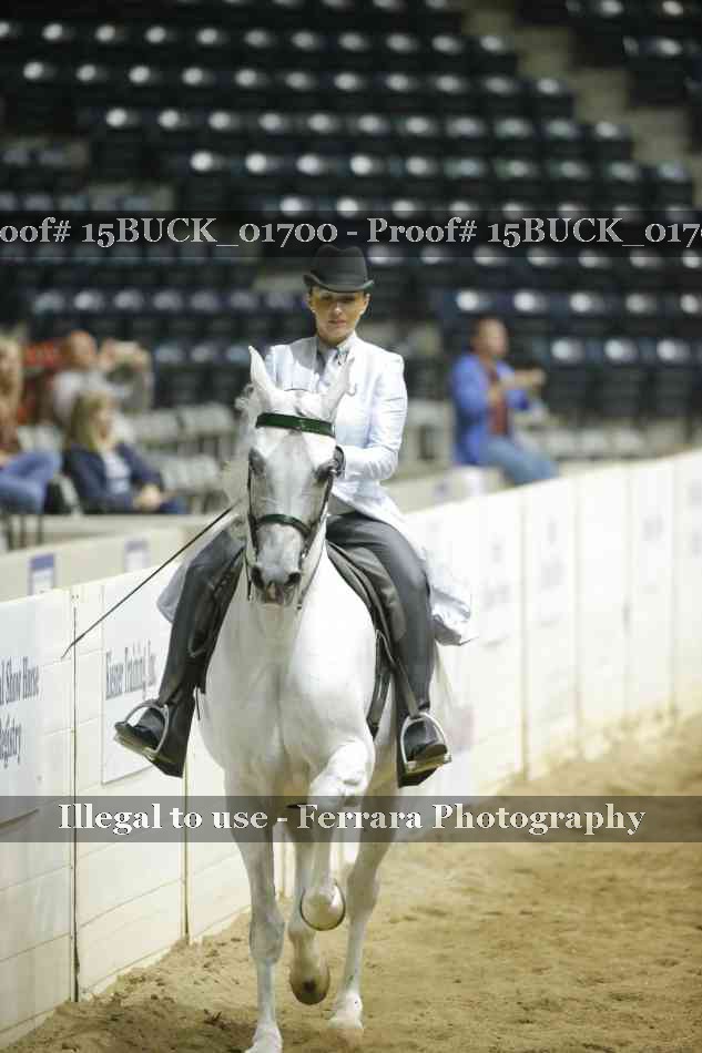 Proof 15BUCK_01700
