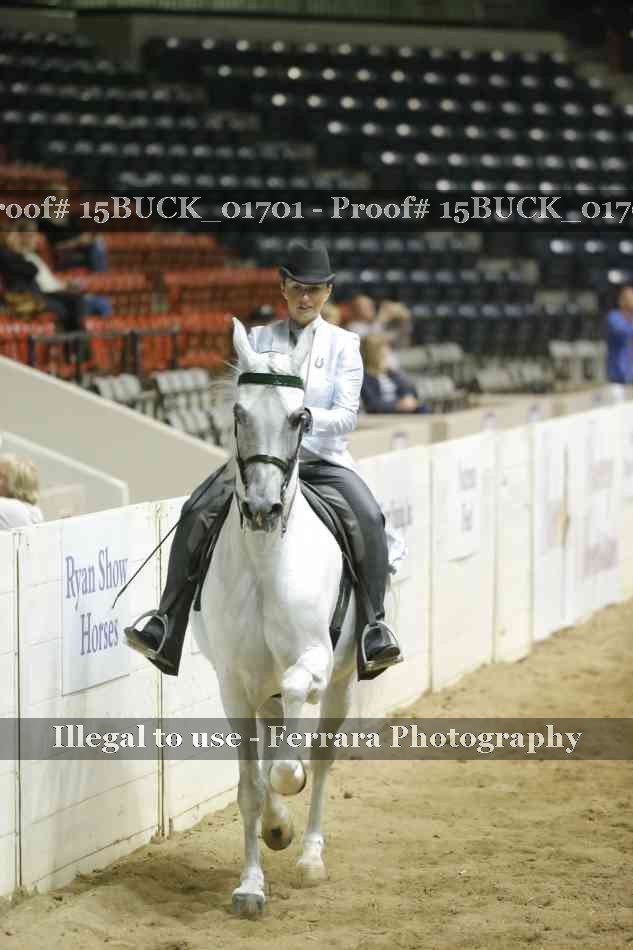 Proof 15BUCK_01701