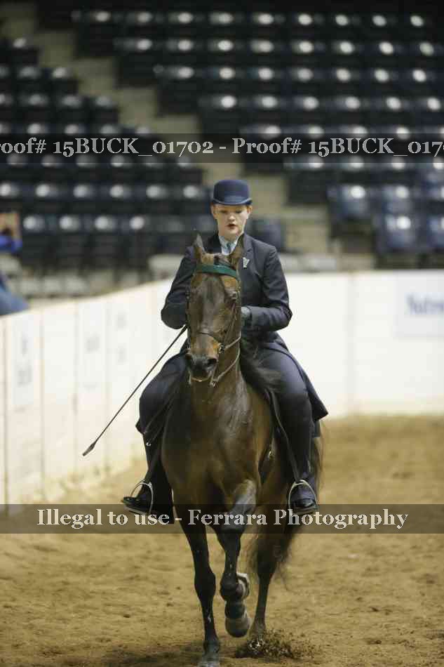 Proof 15BUCK_01702