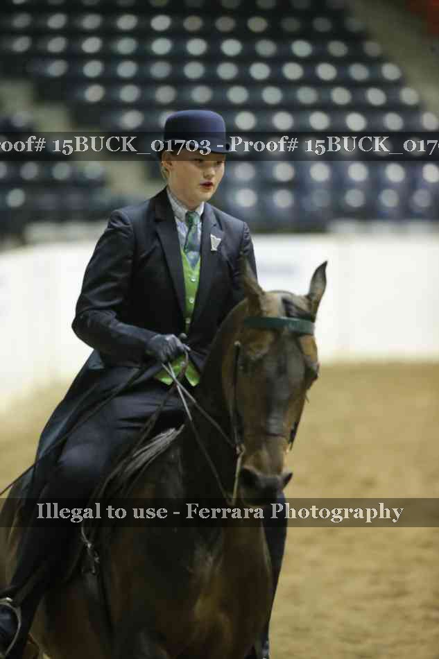 Proof 15BUCK_01703