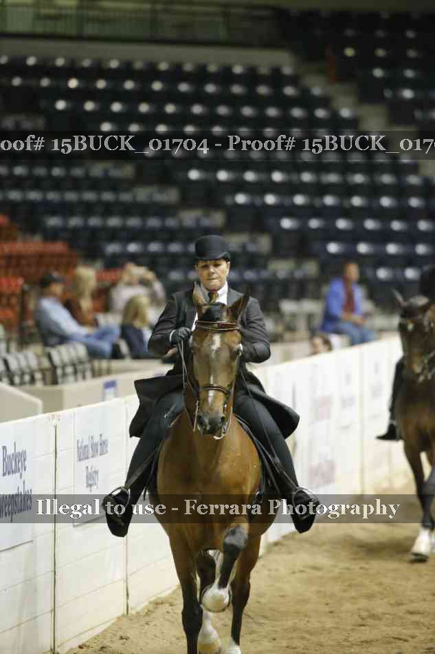 Proof 15BUCK_01704