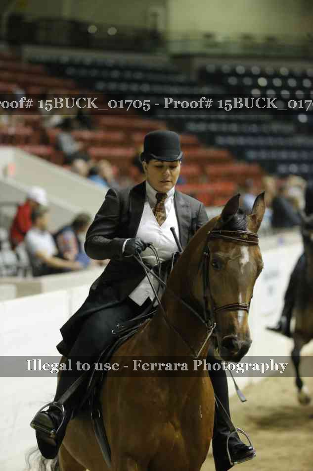 Proof 15BUCK_01705