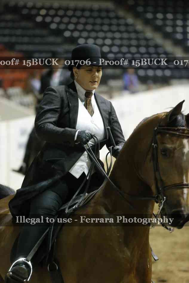 Proof 15BUCK_01706