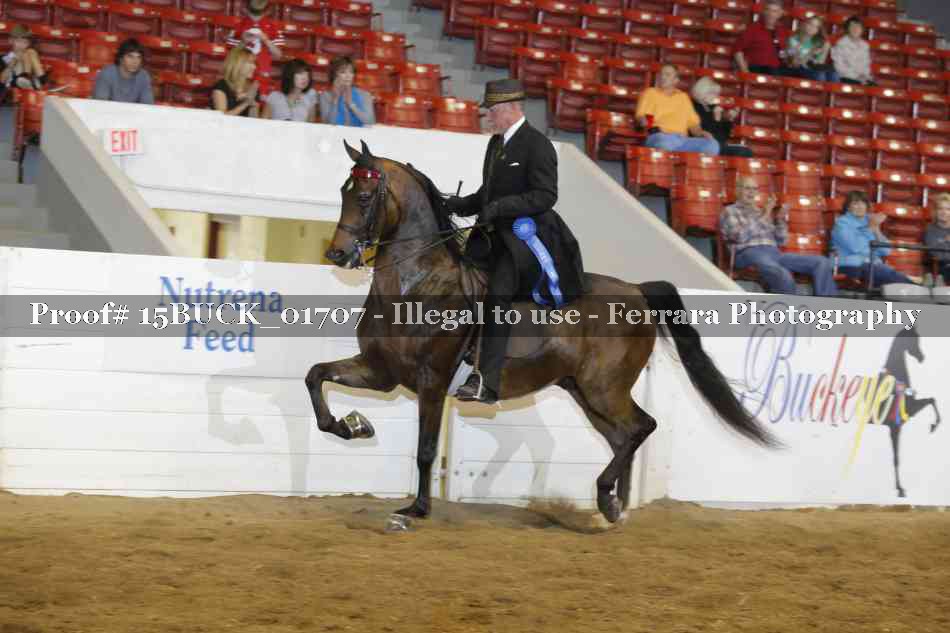 Proof 15BUCK_01707
