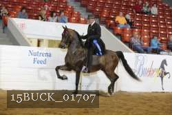 15BUCK_01707 proof