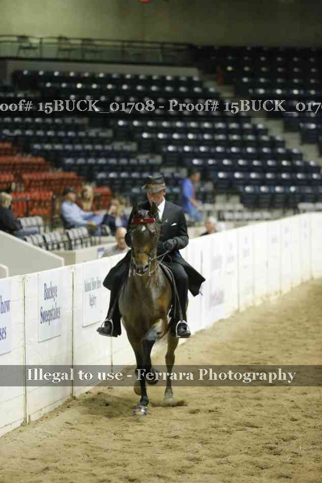 Proof 15BUCK_01708