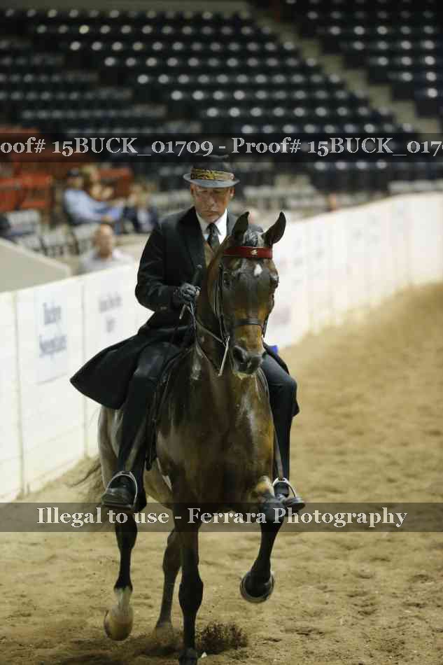 Proof 15BUCK_01709