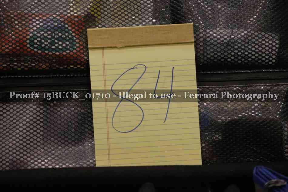 Proof 15BUCK_01710