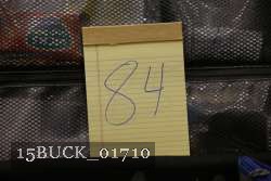 15BUCK_01710 proof