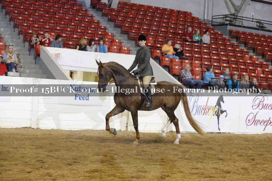 Proof 15BUCK_01711