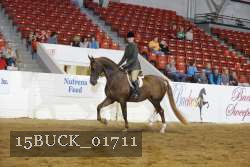 15BUCK_01711 proof
