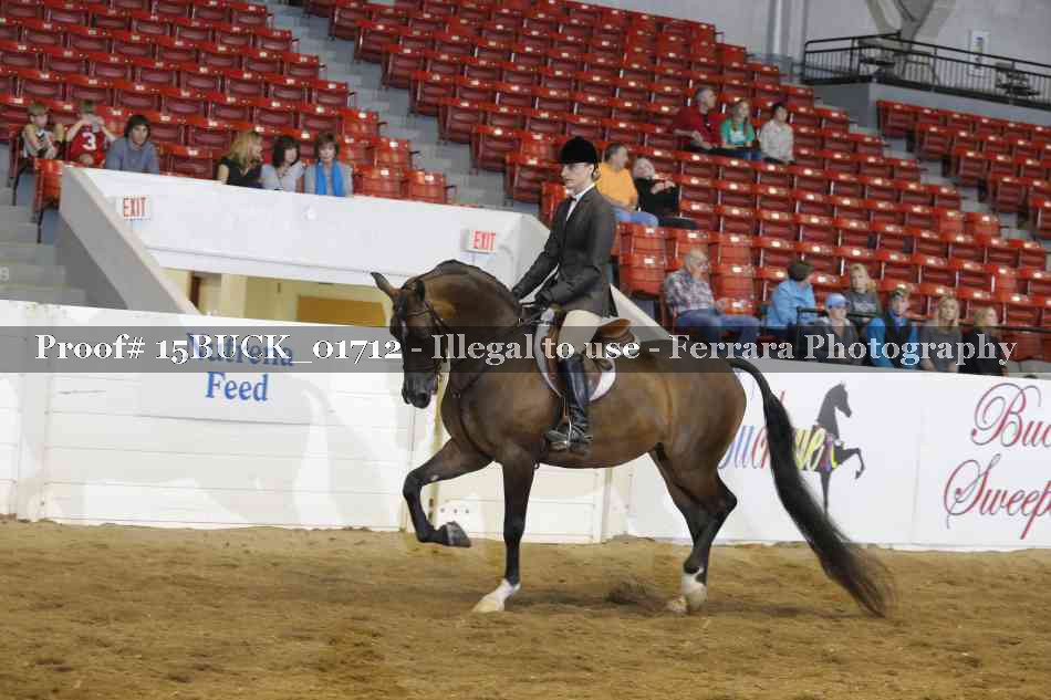 Proof 15BUCK_01712