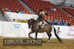 15BUCK_01712 proof