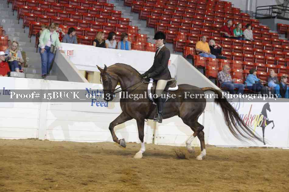 Proof 15BUCK_01713