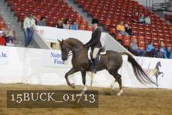 15BUCK_01713 proof