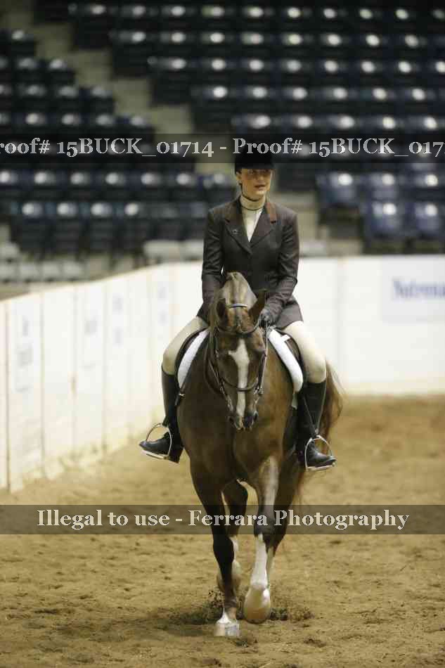 Proof 15BUCK_01714