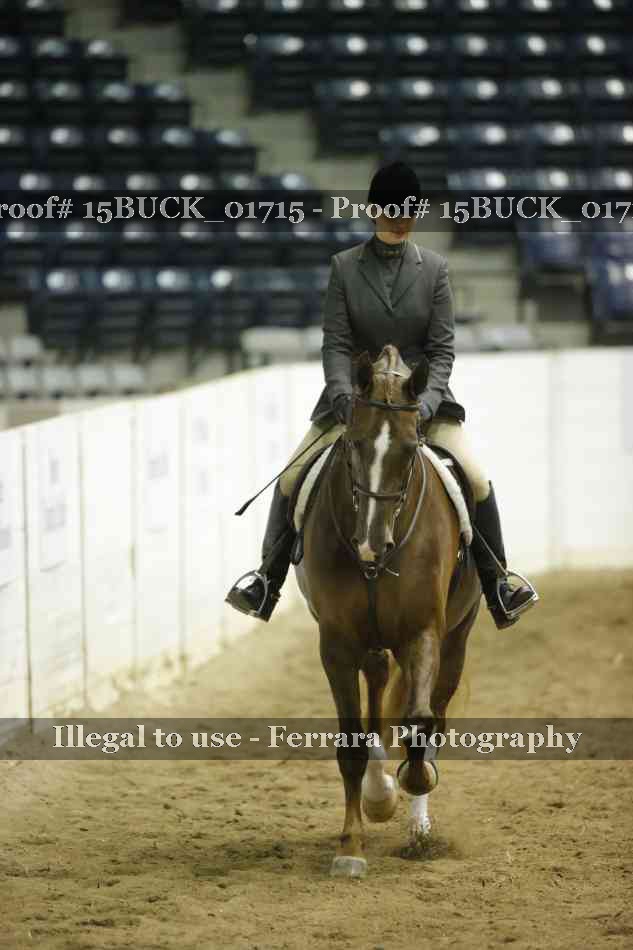 Proof 15BUCK_01715