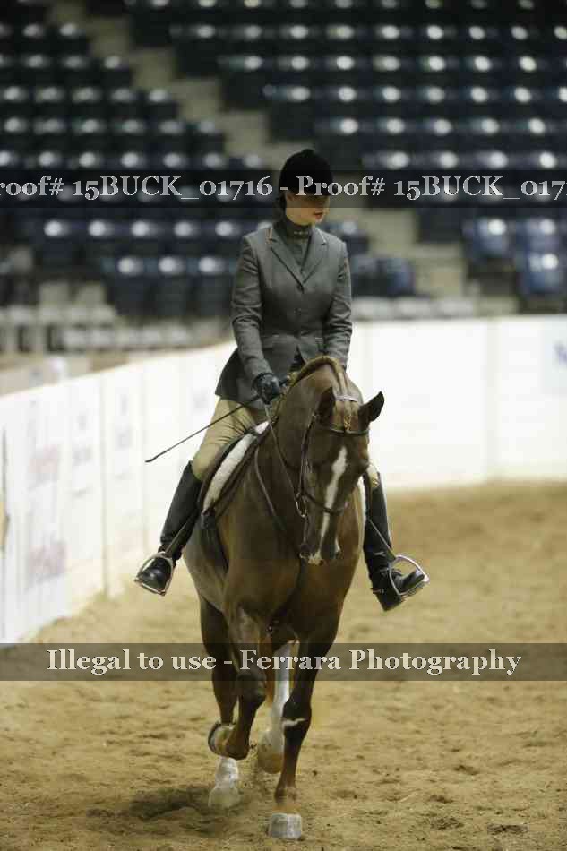 Proof 15BUCK_01716