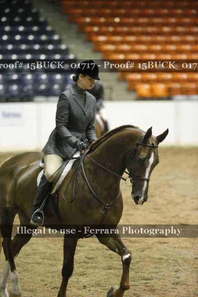 Proof 15BUCK_01717