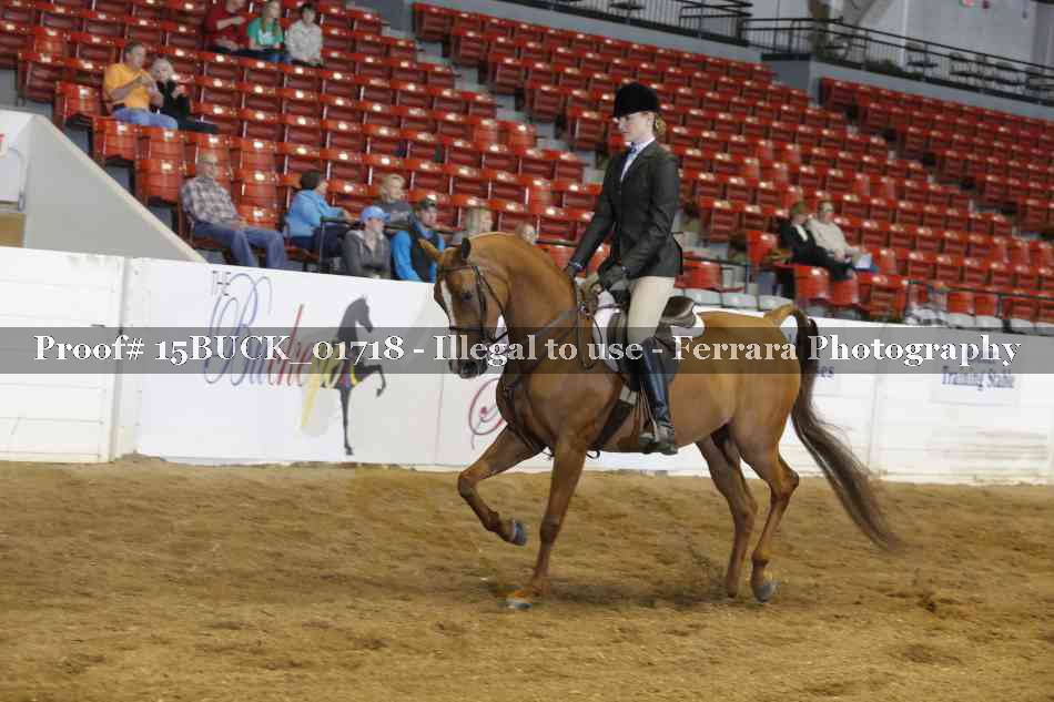 Proof 15BUCK_01718