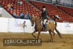 15BUCK_01718 proof