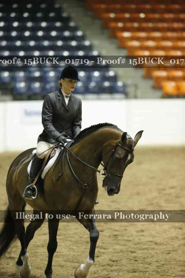 Proof 15BUCK_01719