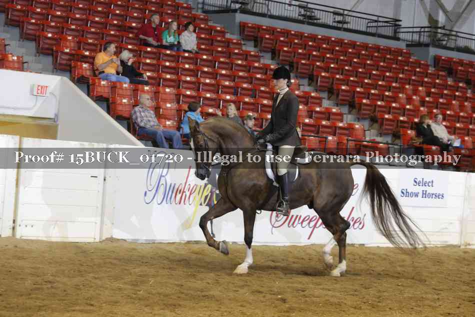 Proof 15BUCK_01720