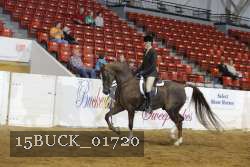 15BUCK_01720 proof