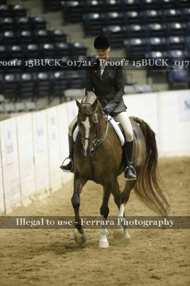 Proof 15BUCK_01721