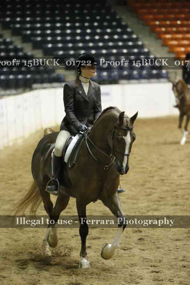 Proof 15BUCK_01722