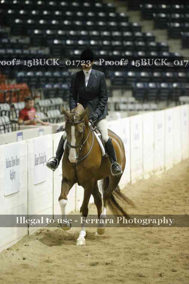Proof 15BUCK_01723