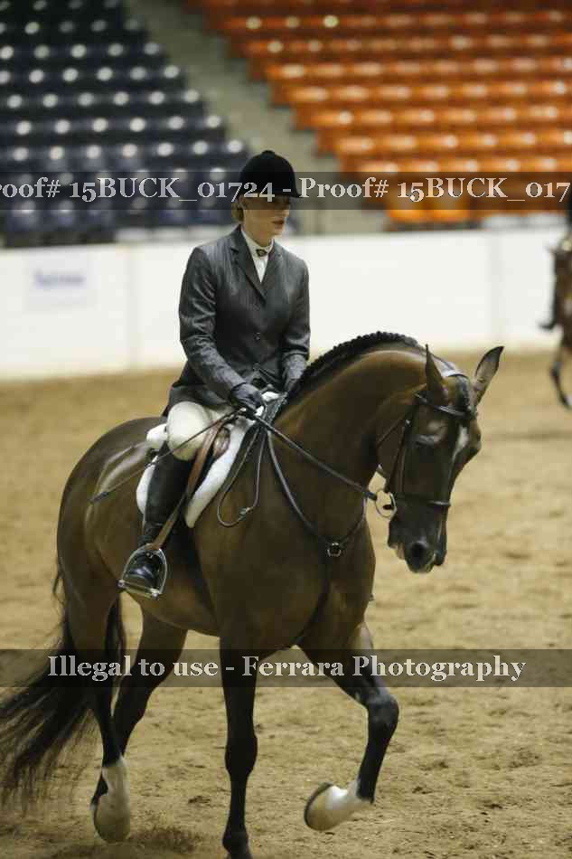 Proof 15BUCK_01724