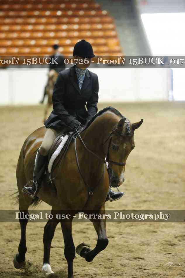 Proof 15BUCK_01726