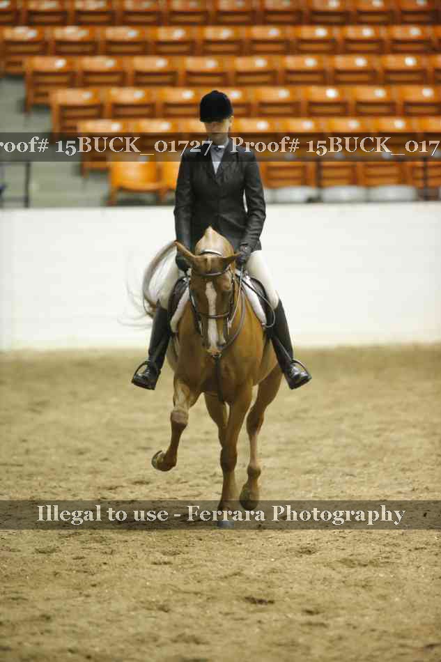 Proof 15BUCK_01727