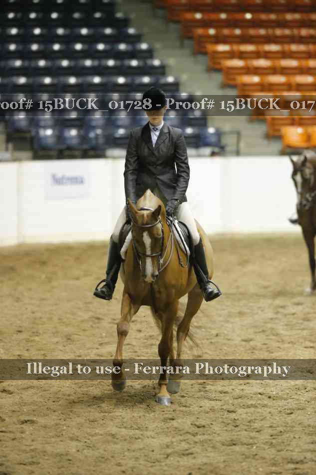 Proof 15BUCK_01728