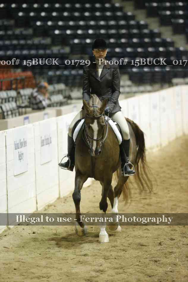 Proof 15BUCK_01729