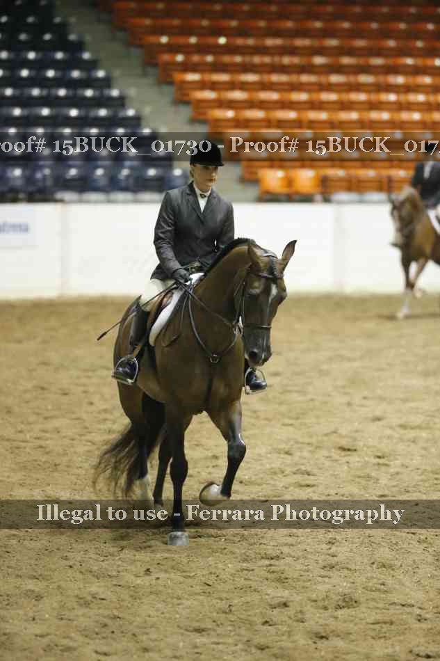 Proof 15BUCK_01730