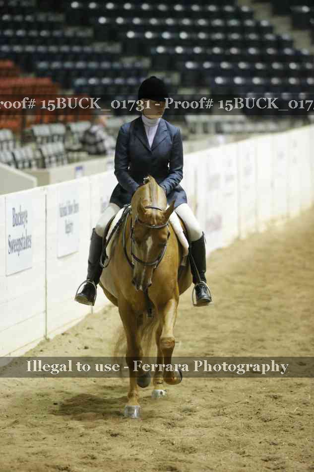 Proof 15BUCK_01731