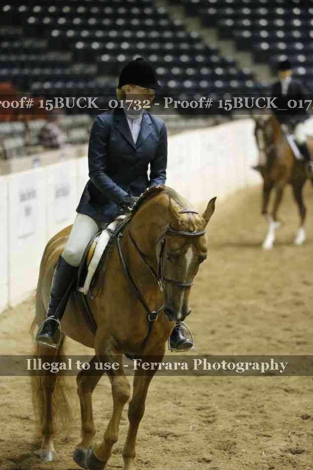 Proof 15BUCK_01732