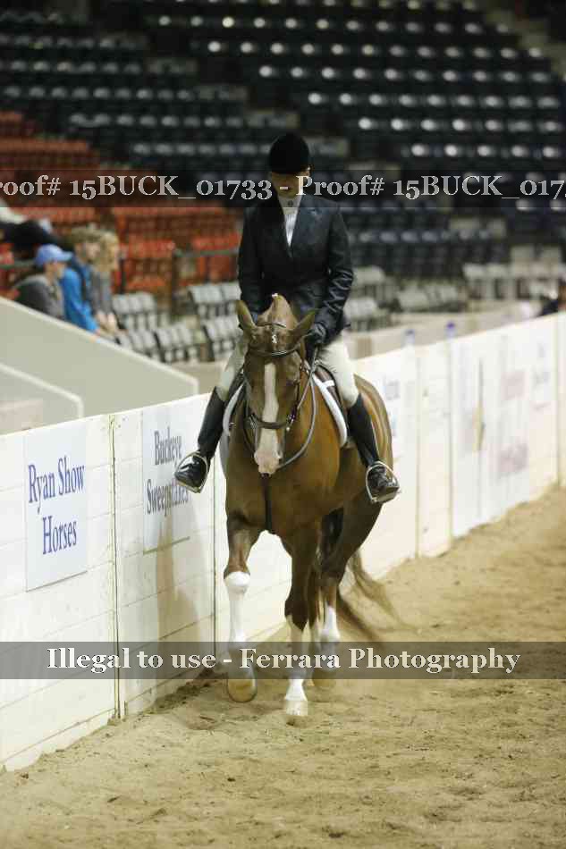 Proof 15BUCK_01733