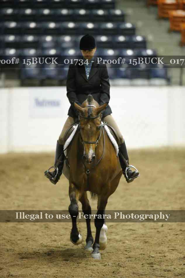 Proof 15BUCK_01734