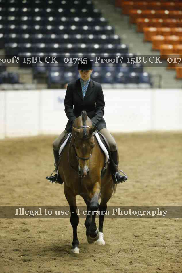 Proof 15BUCK_01735